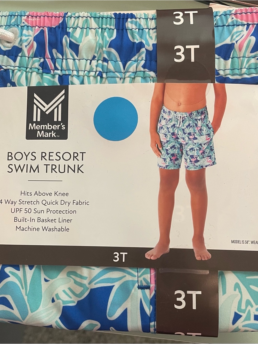 Member's Mark Boys' Resort Swim Trunk - Blue/Turquoise Print (3T)